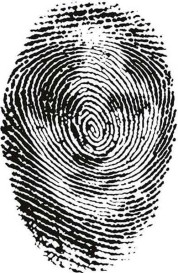 fingerprint-illusions-6